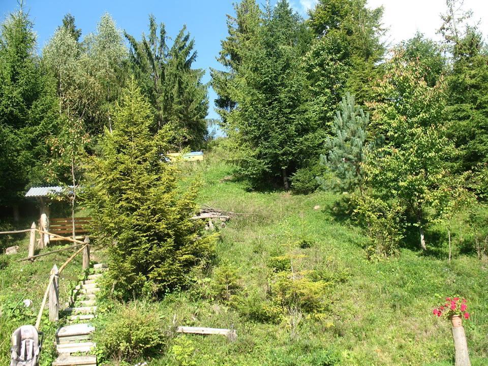 Біла Хижа  Verkhne-Studenyy Экстерьер фото